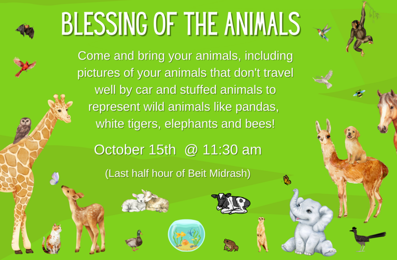 Blessing of the Animals 10.15.23