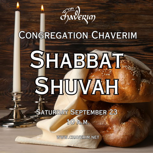 Banner Image for Shabbat Shuvah Service